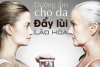 DƯỠNG ẨM CHO DA – ĐẨY LÙI LÃO HÓA